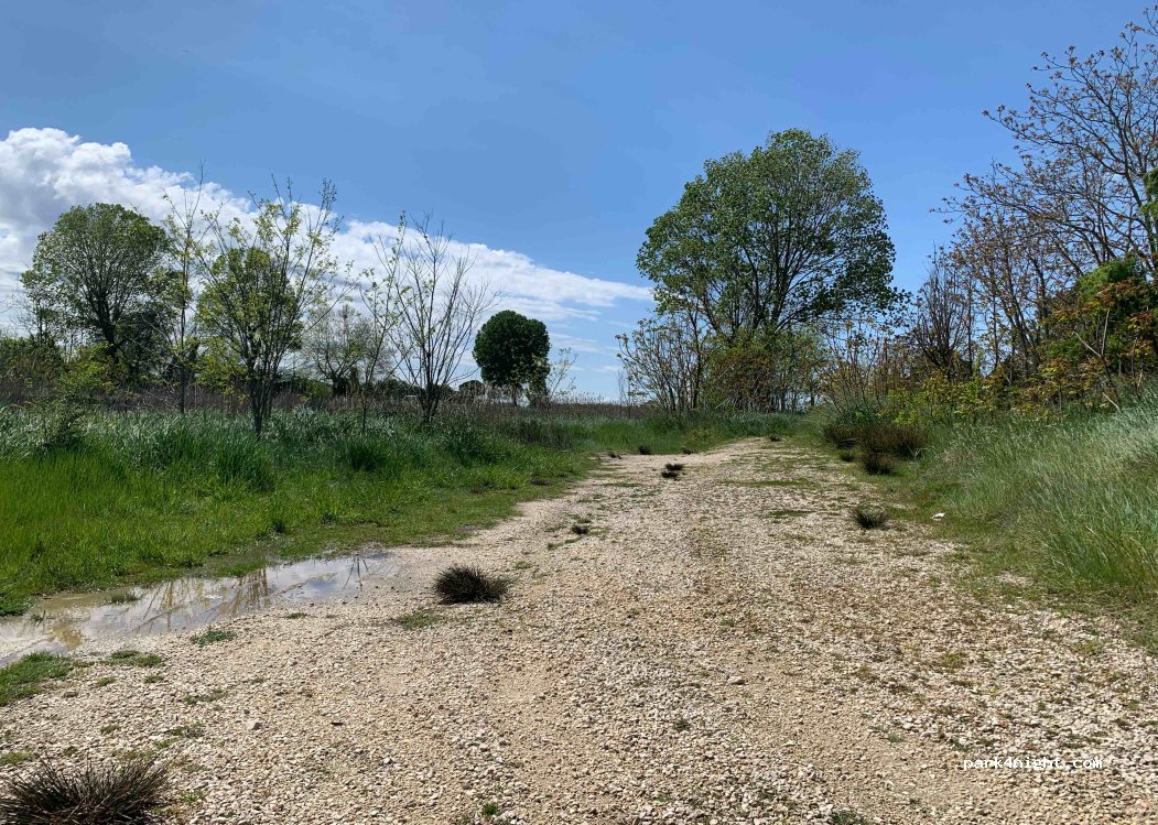 (35020) Codevigo - 19 Via Frignolo — foto