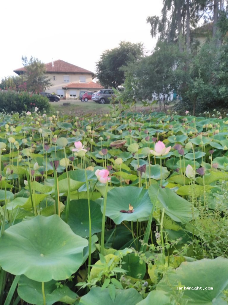 Vieux Moulin — foto 3