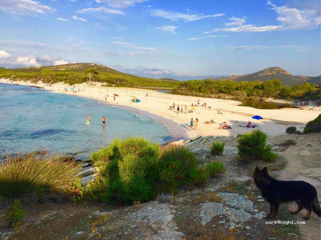 Camping U Paradisu - Plage de Saleccia — foto