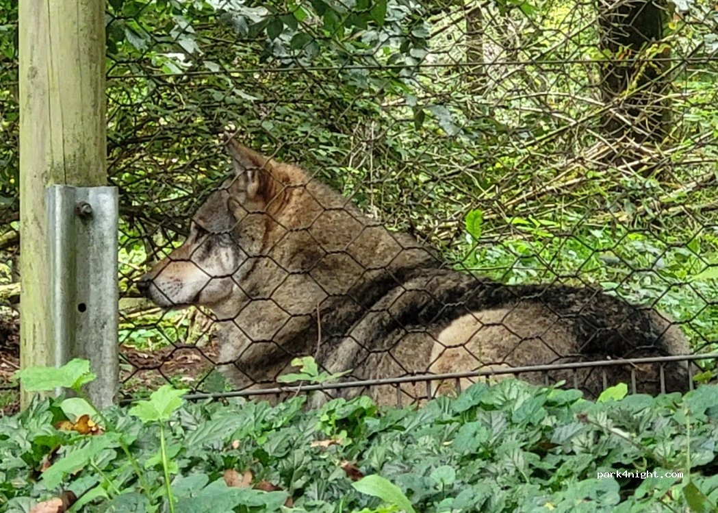 (66663) Merzig - 207 Waldstraße — foto 3