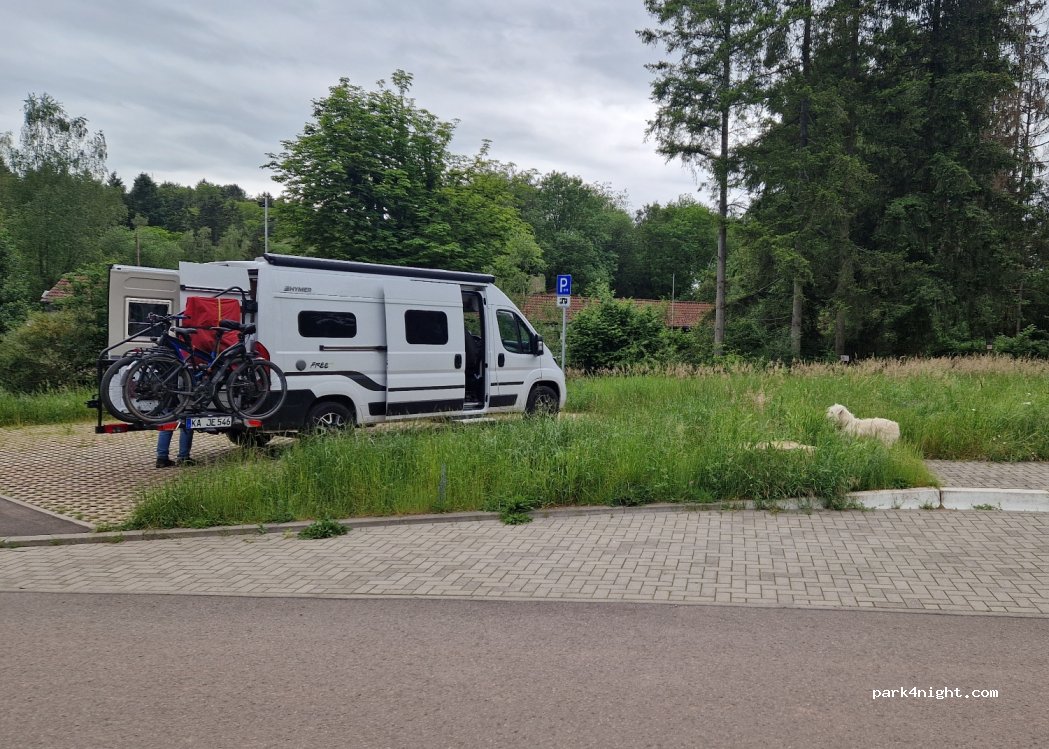 (66663) Merzig - 207 Waldstraße — foto 4
