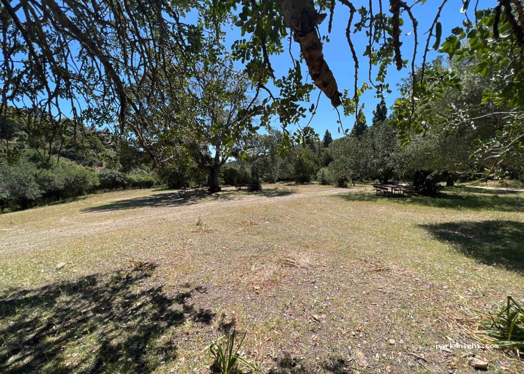 (09010) Villa San Pietro - — foto