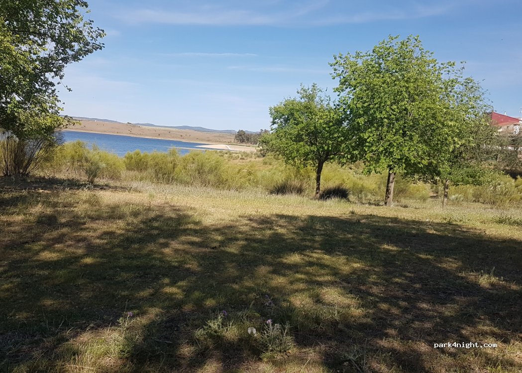 (06679) Peloche - BAV-7114 — foto 2