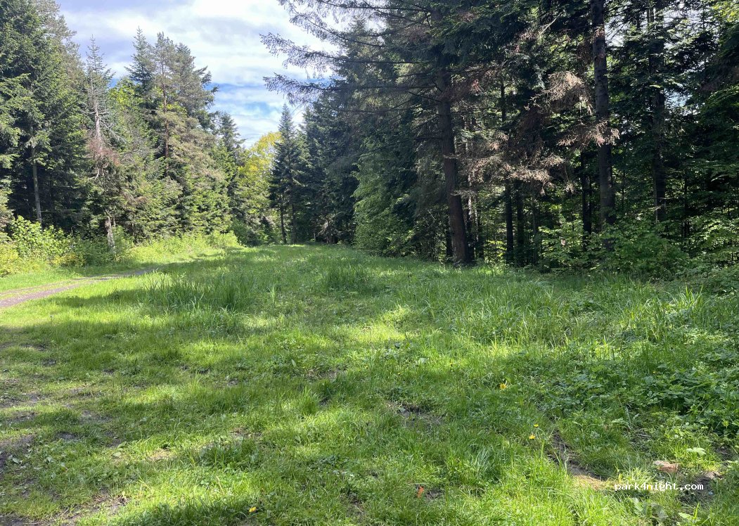 (36-024) Hyżne - Unnamed Road — foto 3