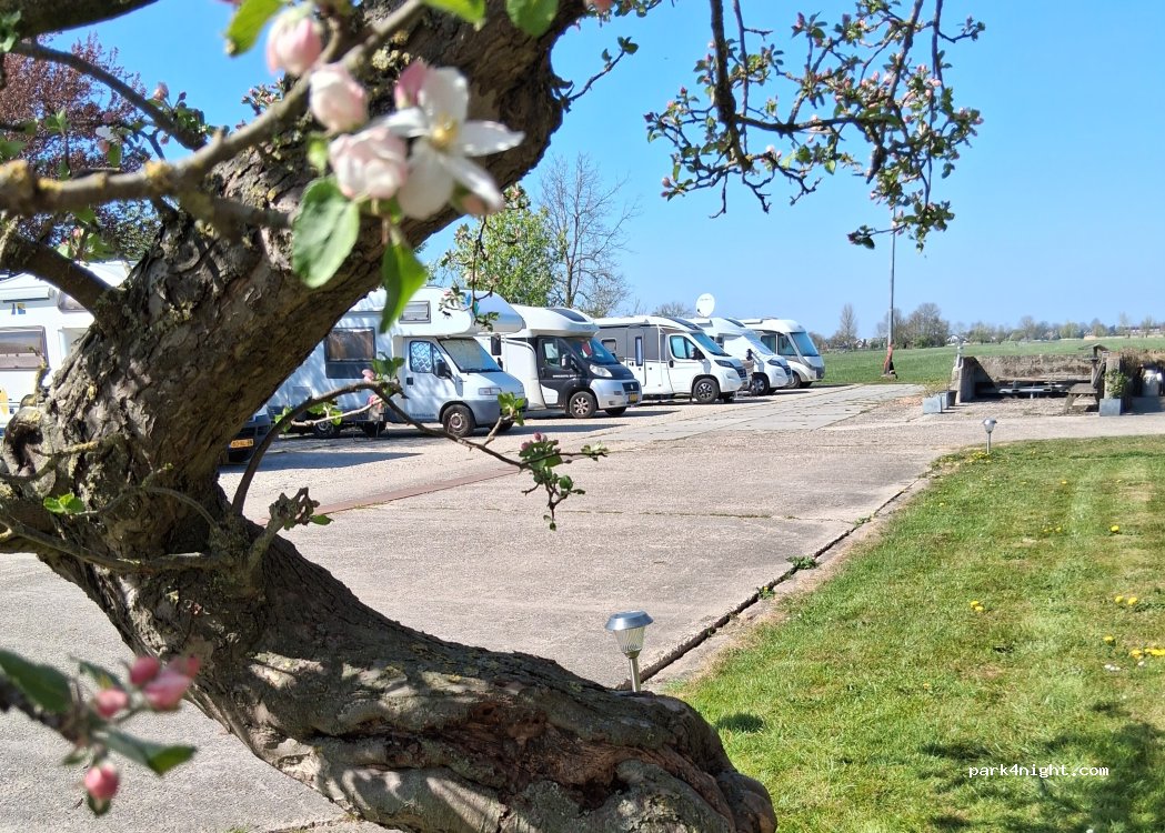 Camperplaats Nieuw Vogelenzang — foto 2