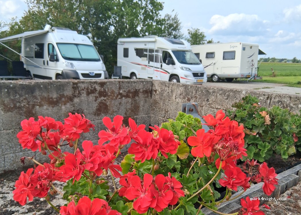 Camperplaats Nieuw Vogelenzang — foto 5