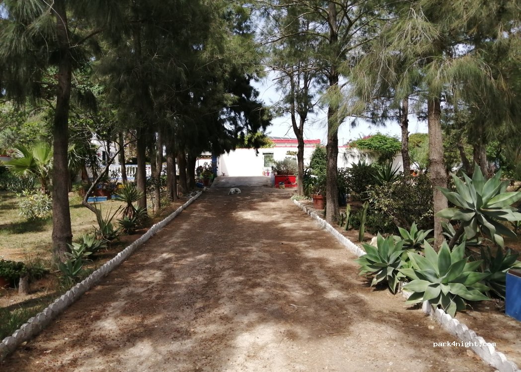 Casa Bosque — foto