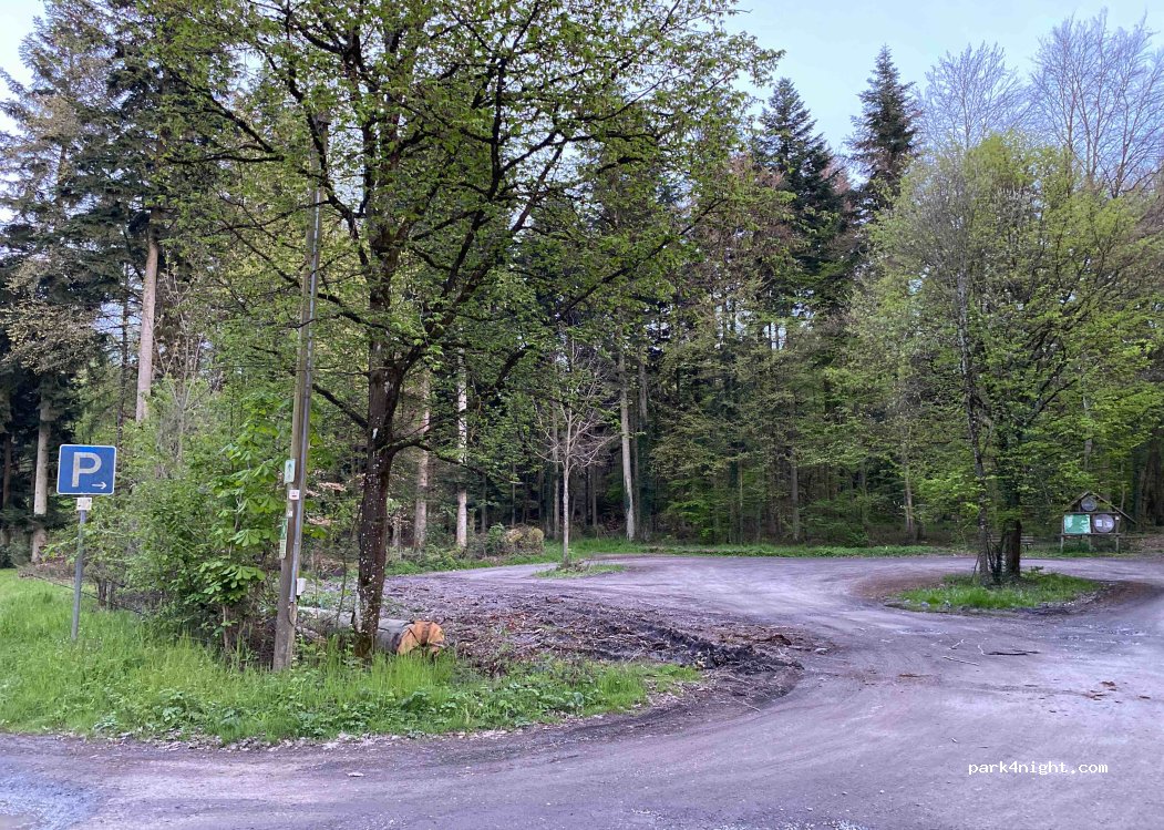 (75031) Eppingen - — foto