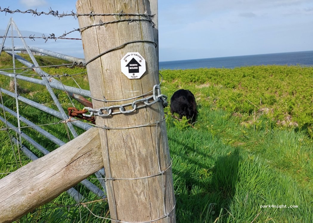 North Keiss B&B and Camper Site — foto 3