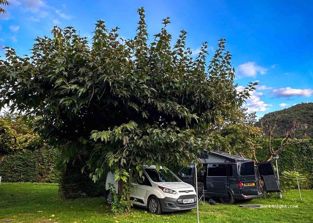 Agricampeggio L'albero delle mele — foto 4