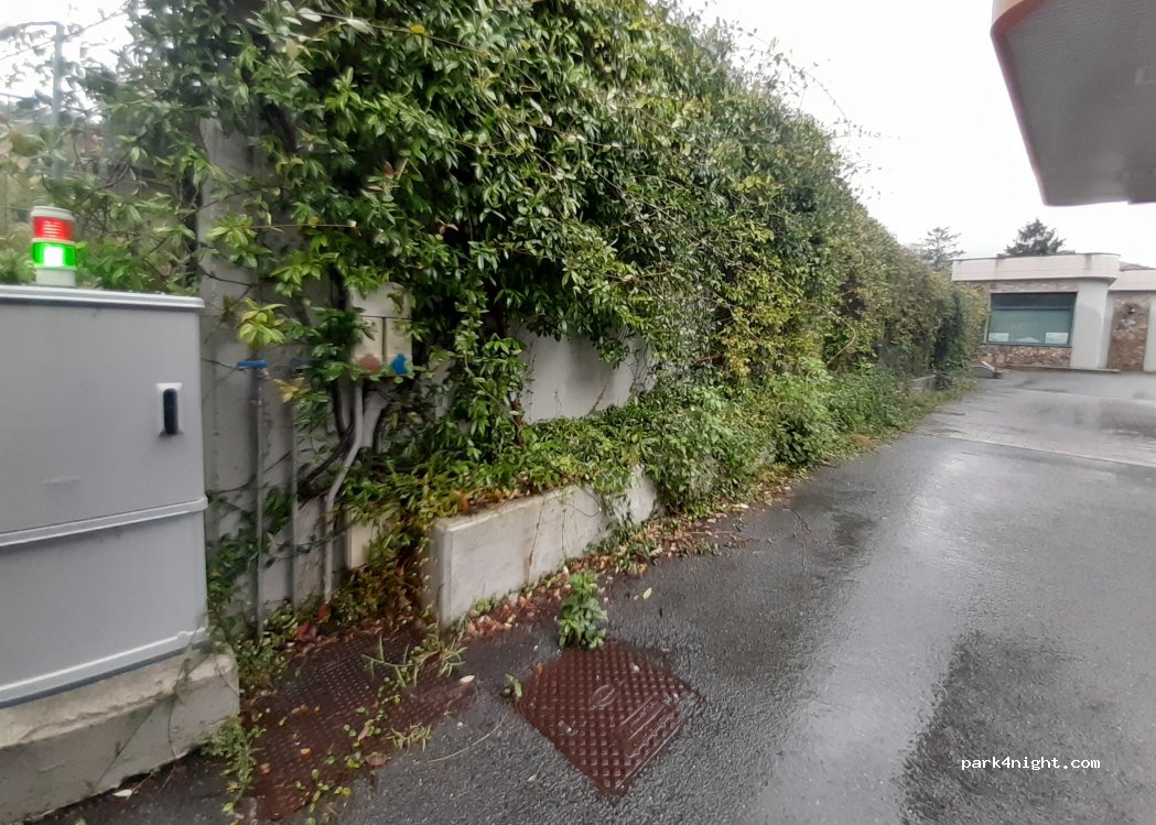 (17020) Calice Ligure - Via Roma SP17 — foto