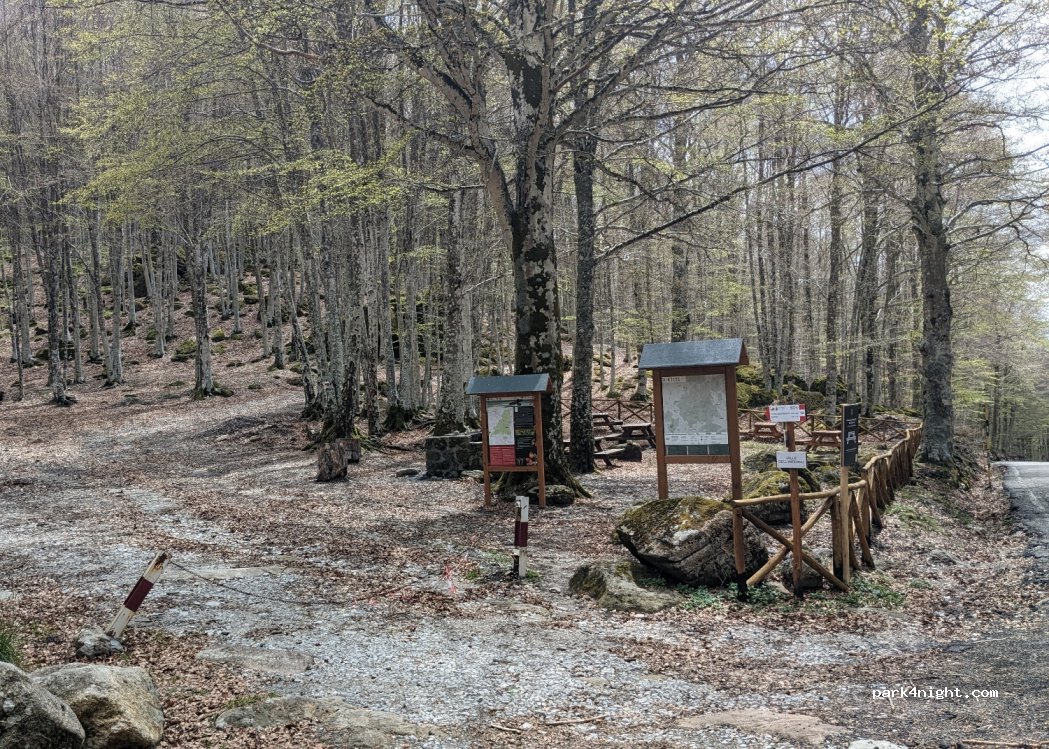 (58037) Santa Fiora - Strada Provinciale 135 Vetta — foto 2