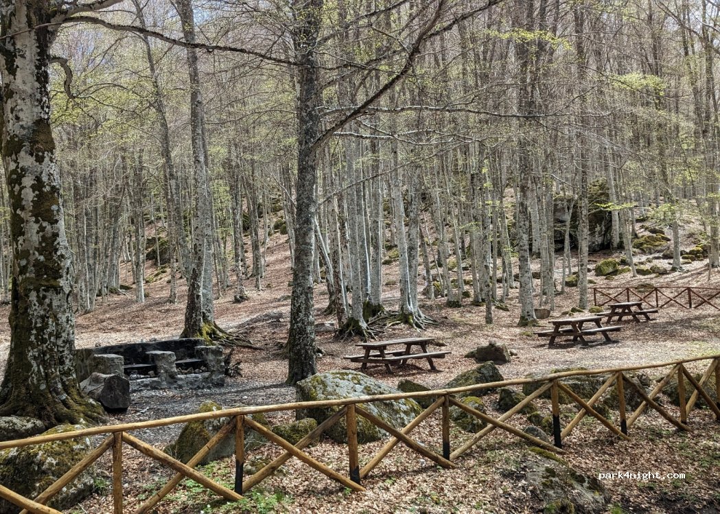 (58037) Santa Fiora - Strada Provinciale 135 Vetta — foto 3