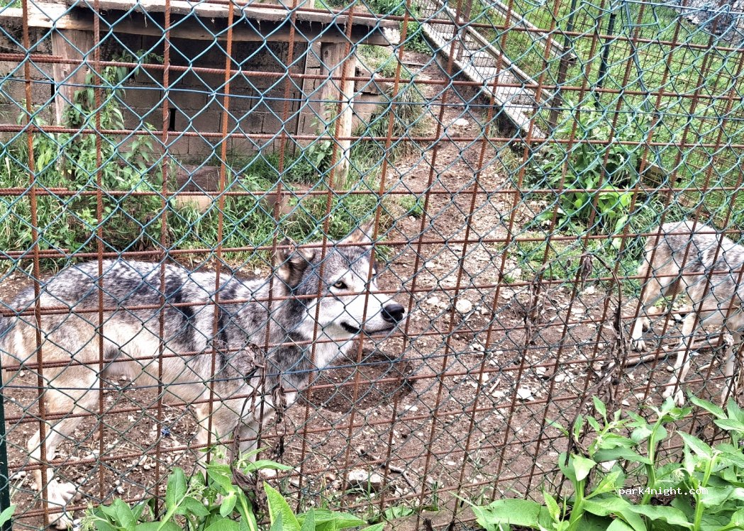(36052) Enego - 31 Via Zante — foto 2