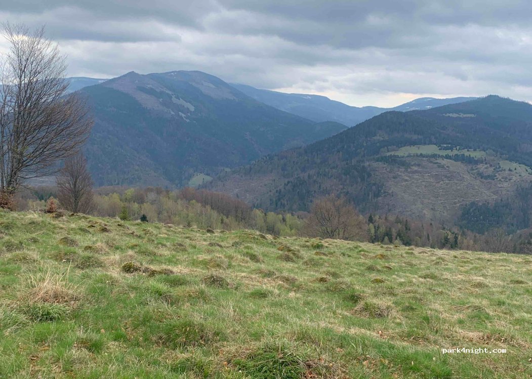 (417113) Remeți - — foto