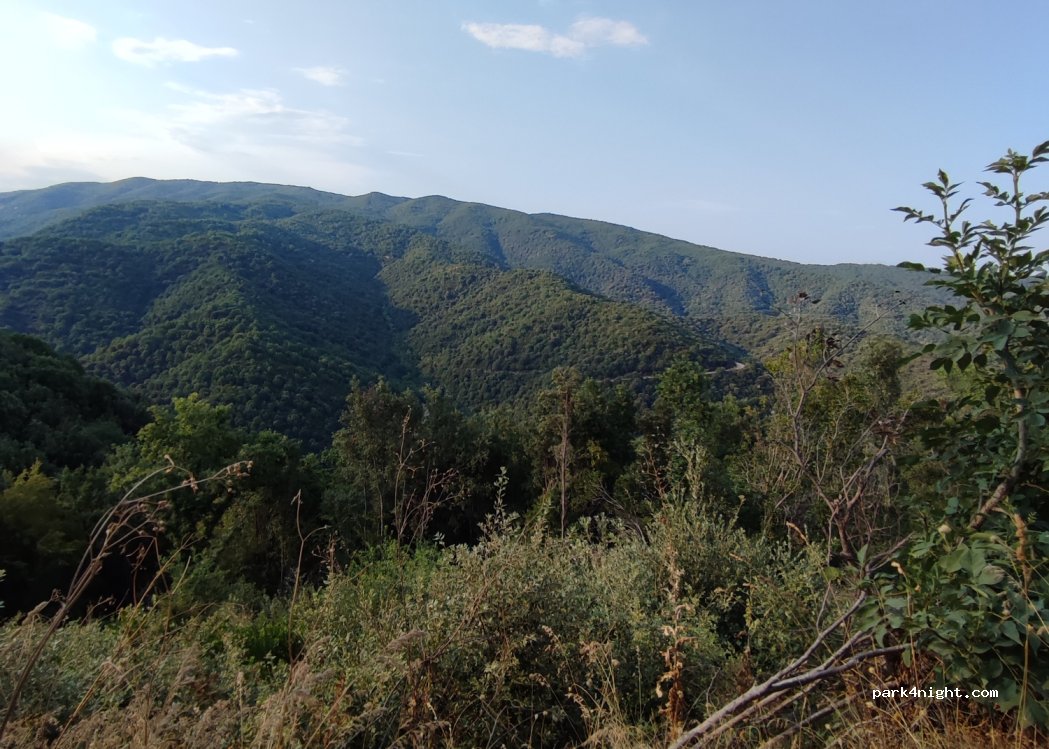 (630 74) Aristotelis - — foto 2