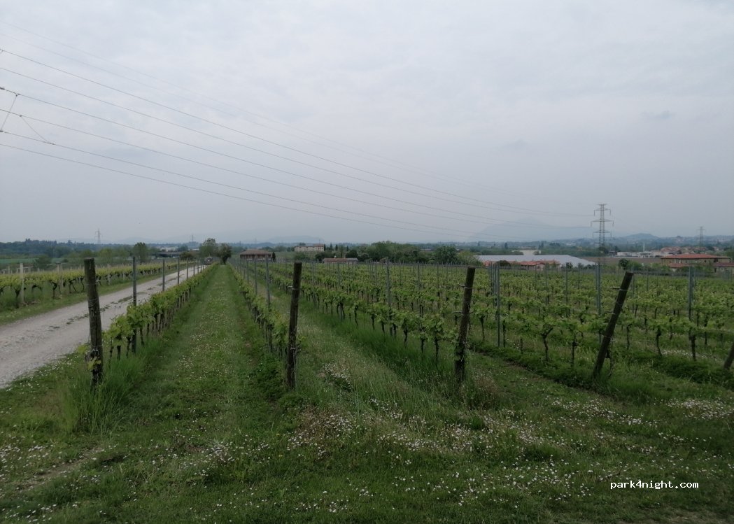 POGGIO delle GRAZIE — foto 2