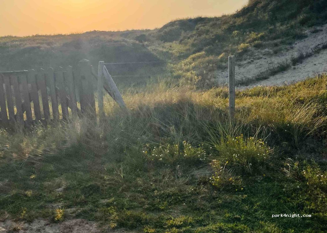EuroParcs Noordwijkse Duinen — foto