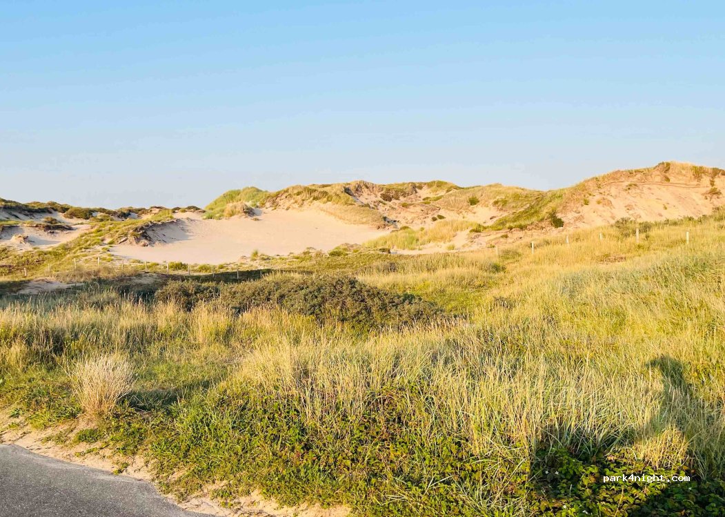 EuroParcs Noordwijkse Duinen — foto 2