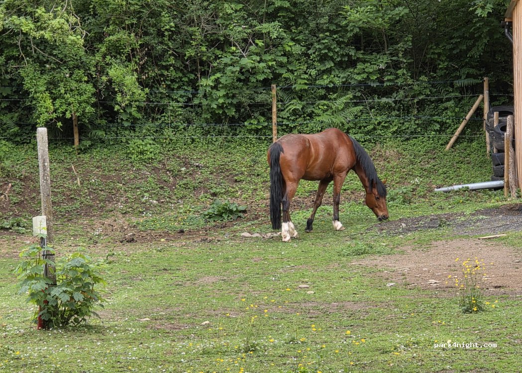 Eden Camping — foto 4
