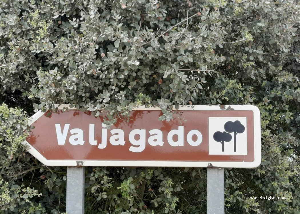 (49211) Salce - — foto 3