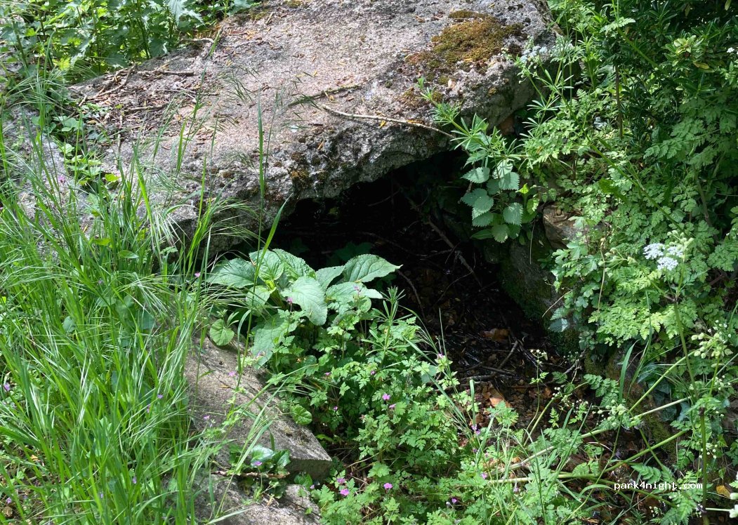 (79600) Saint-Loup-Lamairé - 5 Les Veaux — foto 2
