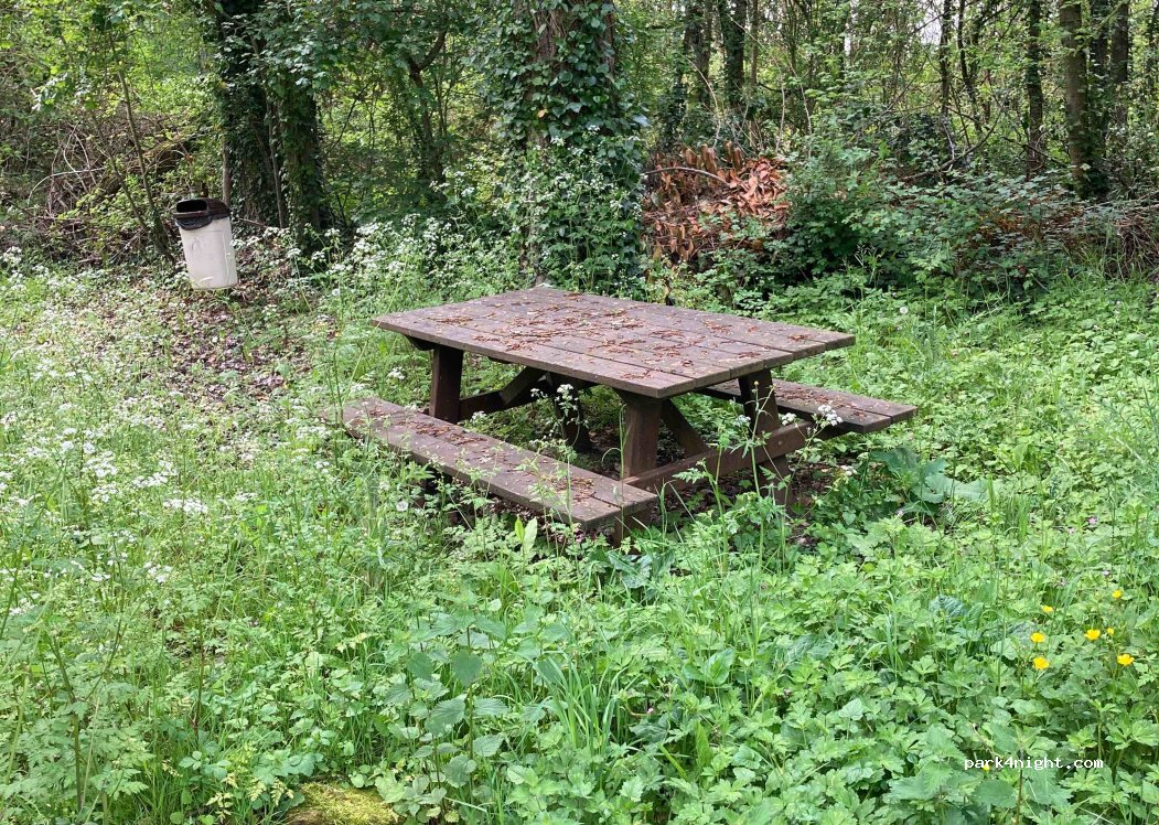 (79600) Saint-Loup-Lamairé - 5 Les Veaux — foto 3