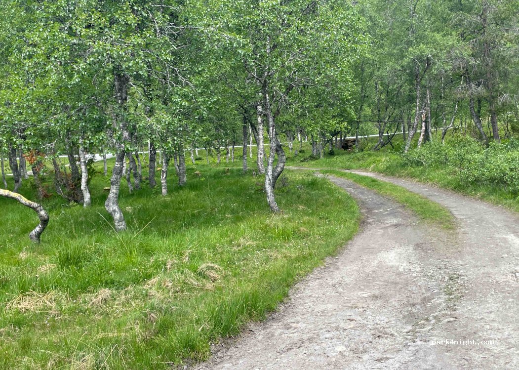 (6978)  - Fylkesvei 13 — foto 3