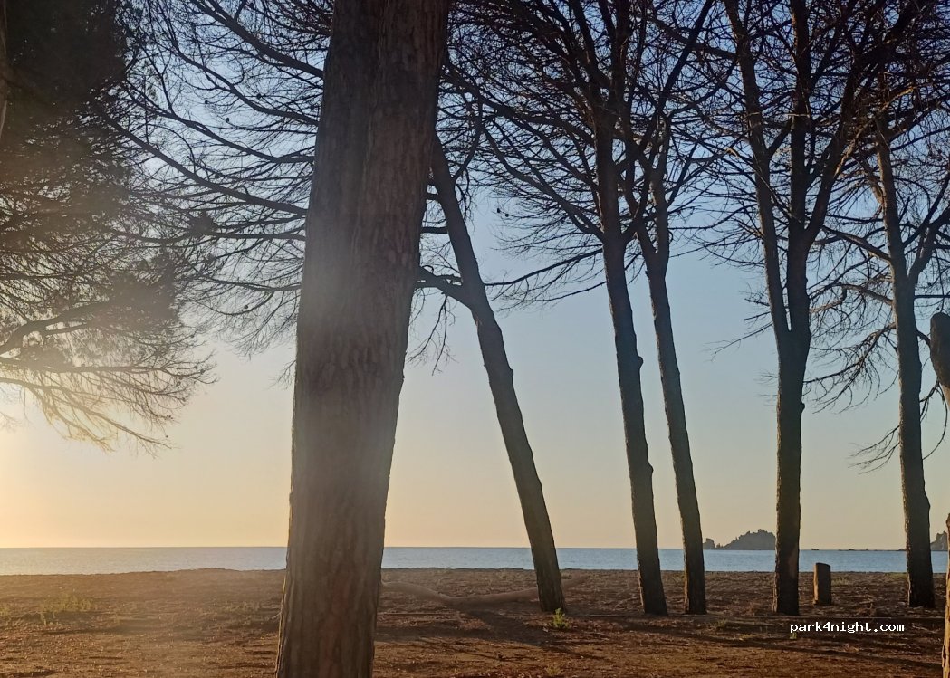 (08040) Tancau Sul Mare - 8 Viale Mare — foto 2