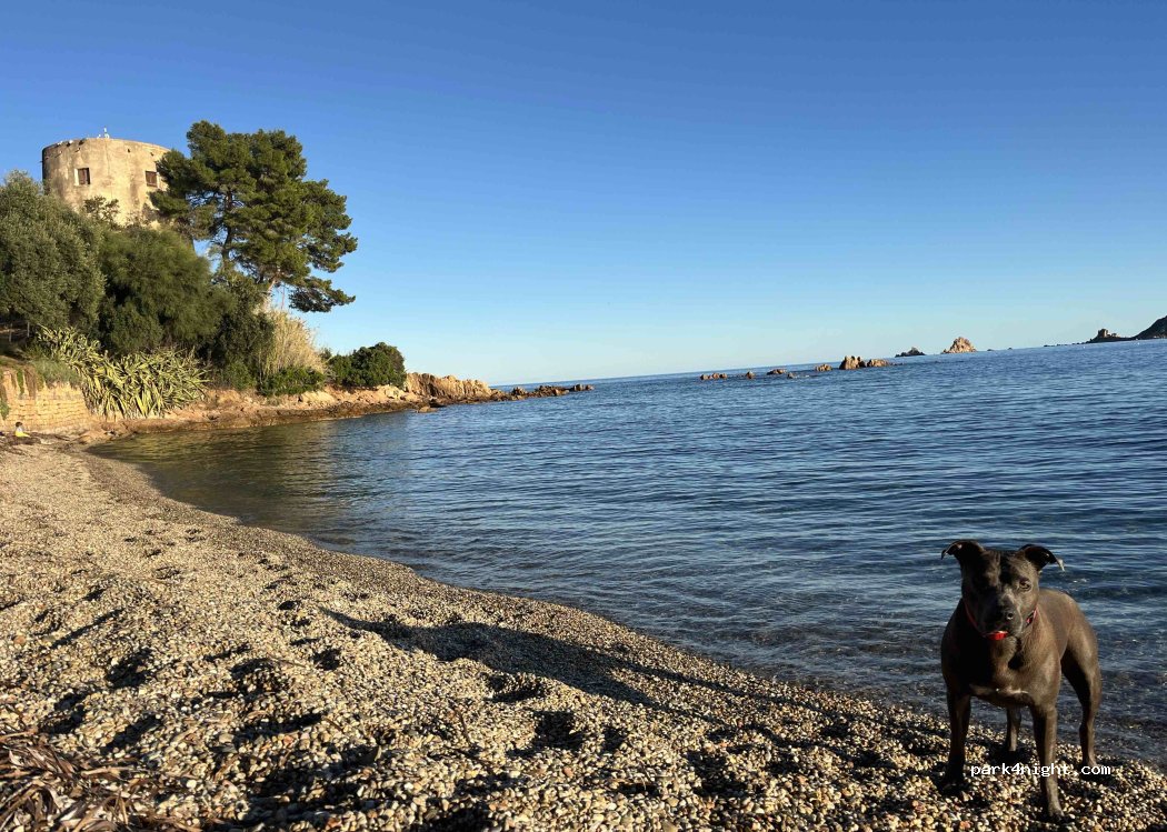 (08040) Tancau Sul Mare - 8 Viale Mare — foto 3