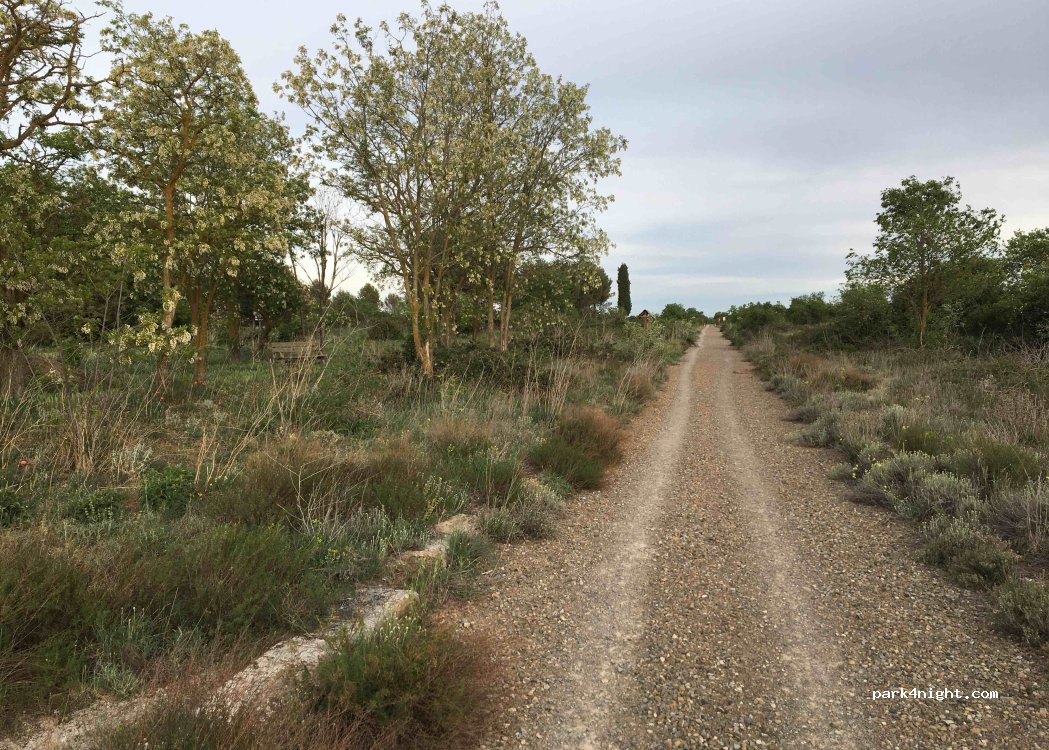 (22194) Alerre - Camino de Alerre — foto