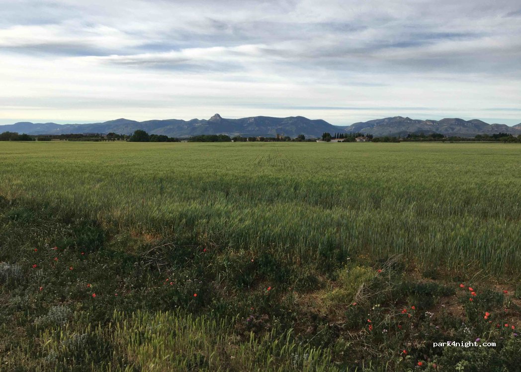 (22194) Alerre - Camino de Alerre — foto 3