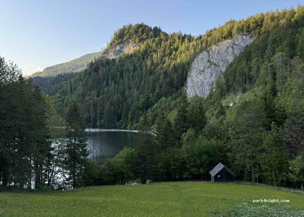 (5360) St. Wolfgang - 267 Schwarzenbach — foto 5