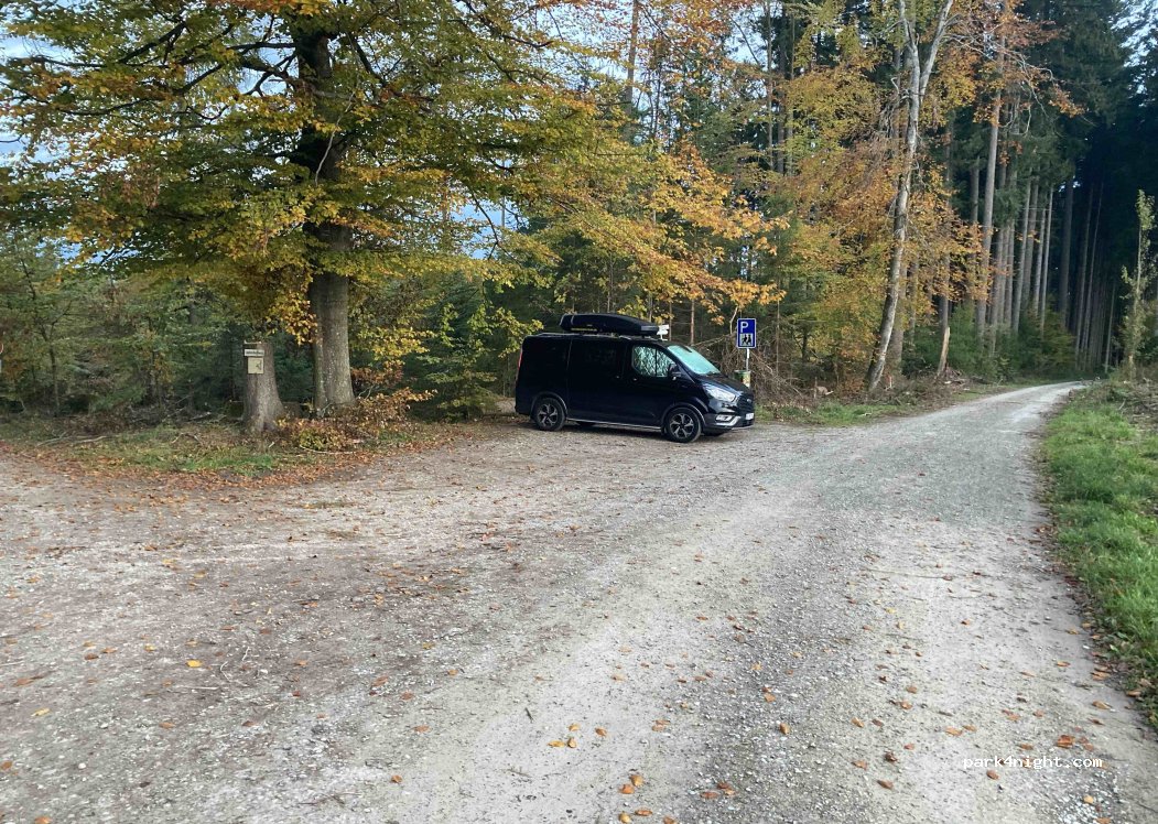 (87761) Lauben - — foto 5