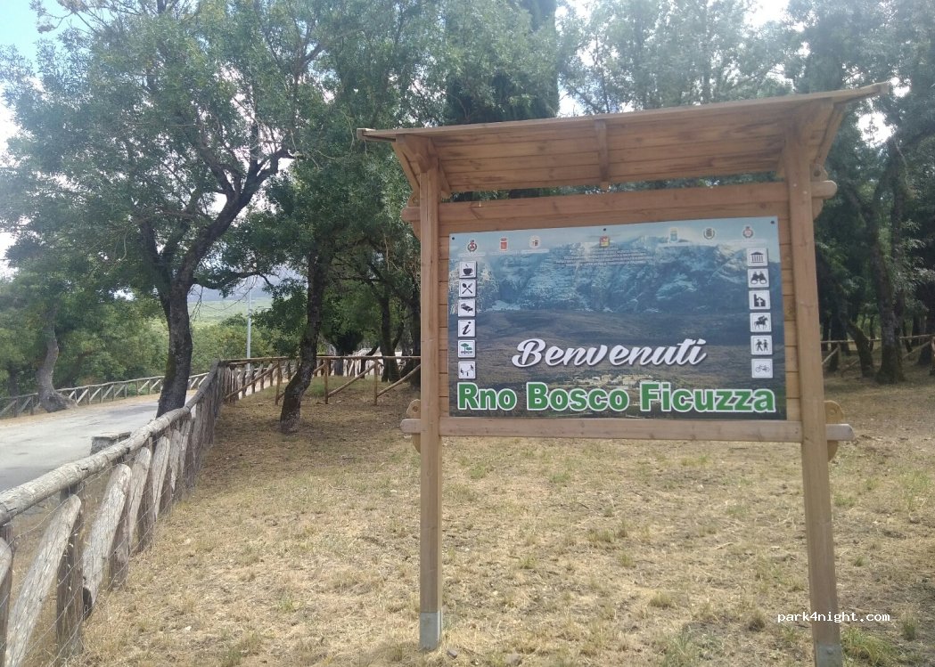 (90046) Monreale - 9 Via del Bosco — foto 3