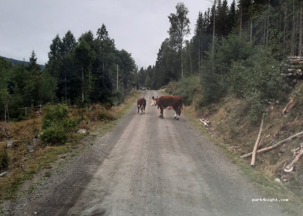 (2607)  - Unnamed Road — foto 3