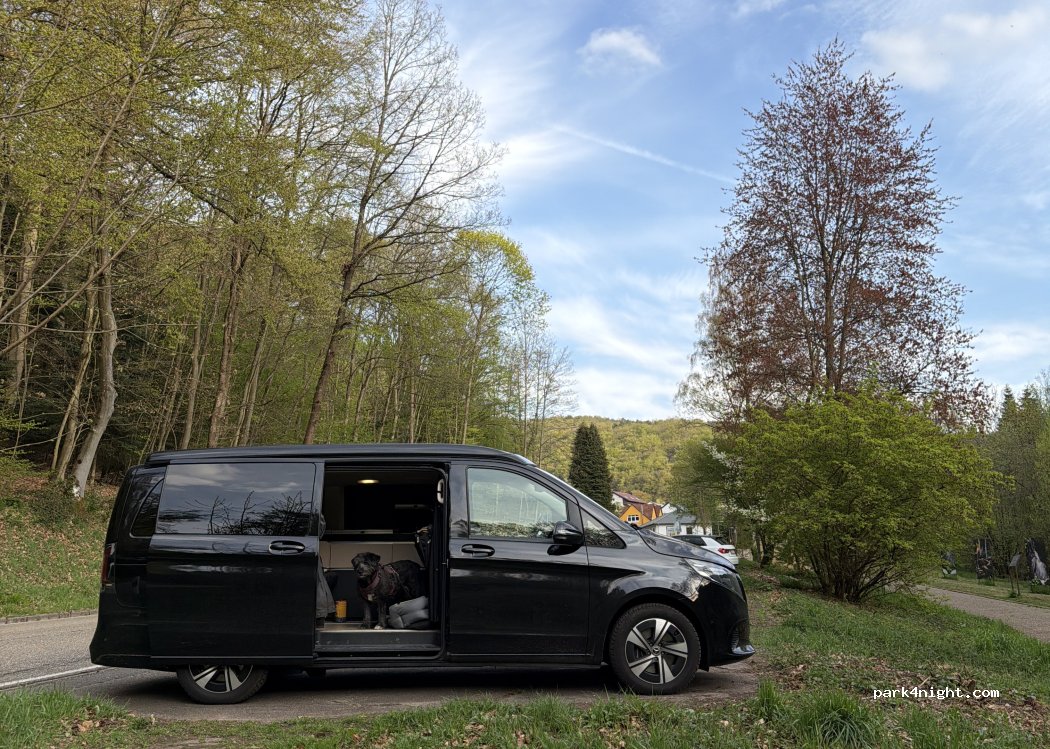 (76855) Annweiler am Trifels - 25 Kurhausstraße — foto 3