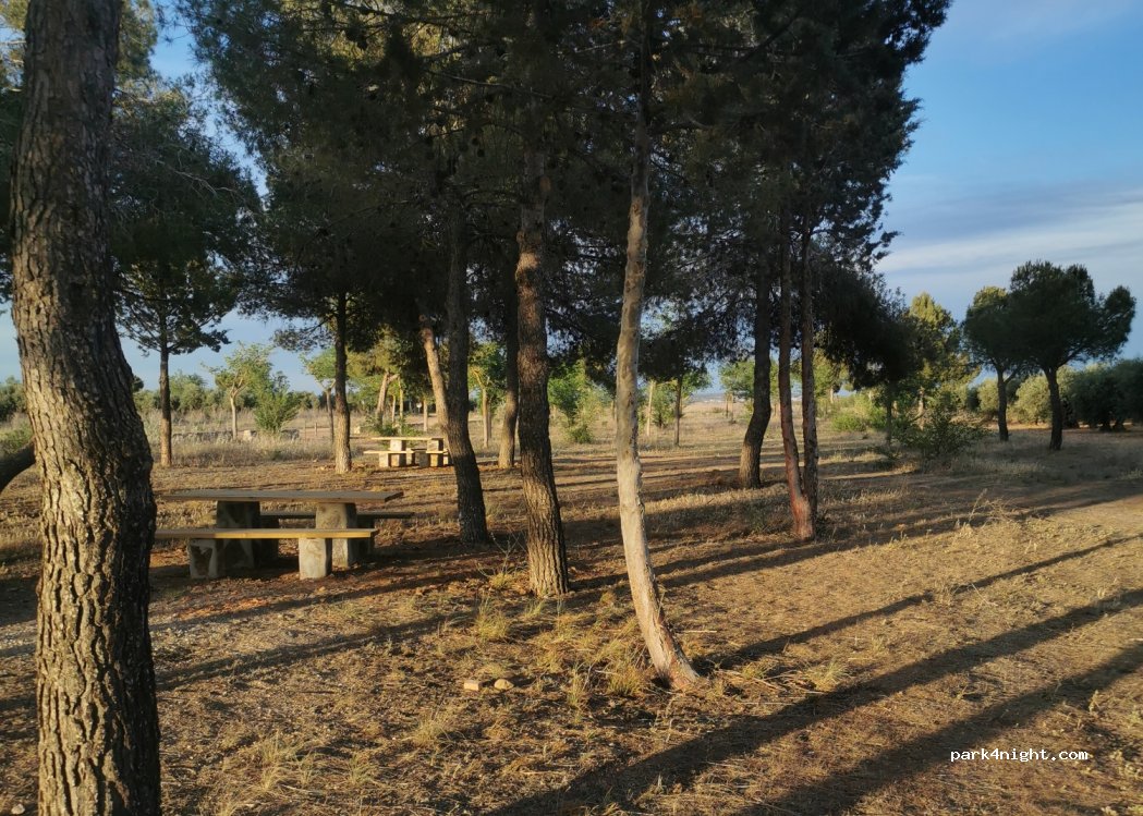 (45700) Consuegra - Unnamed Road — foto