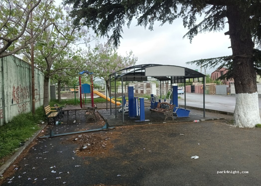(4600) Kutaisi - Giorgi Brtskinavale — foto 2