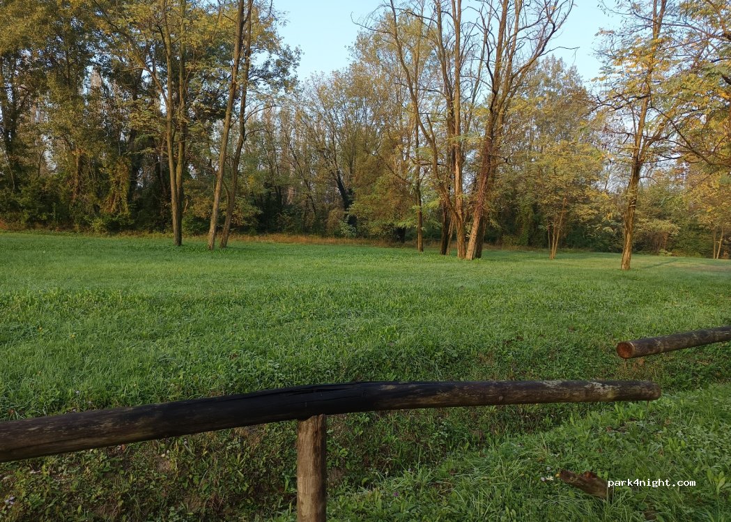 (31057) Silea - 441 Via Alzaia sul Sile — foto 5