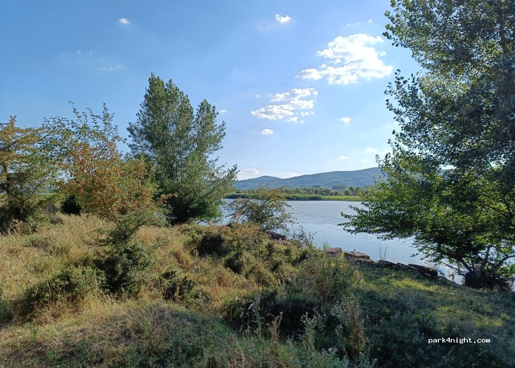(247278) Marcea - — foto 3