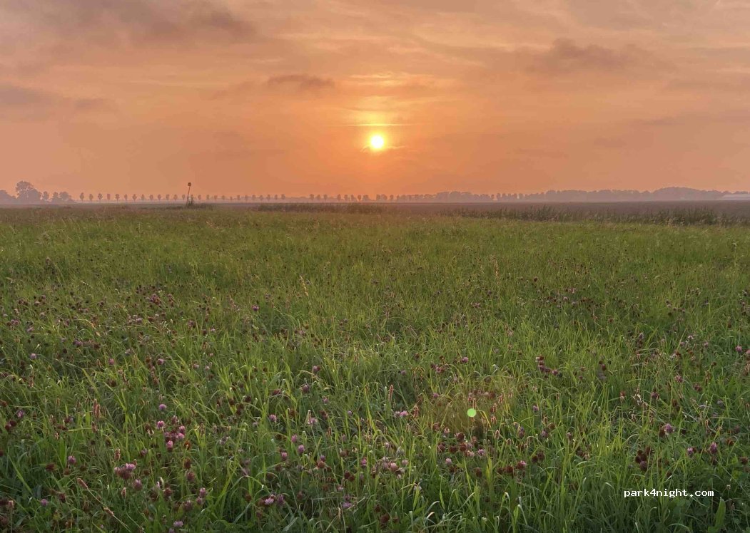 Klaverveld | Bruinsma Promotie — foto 5