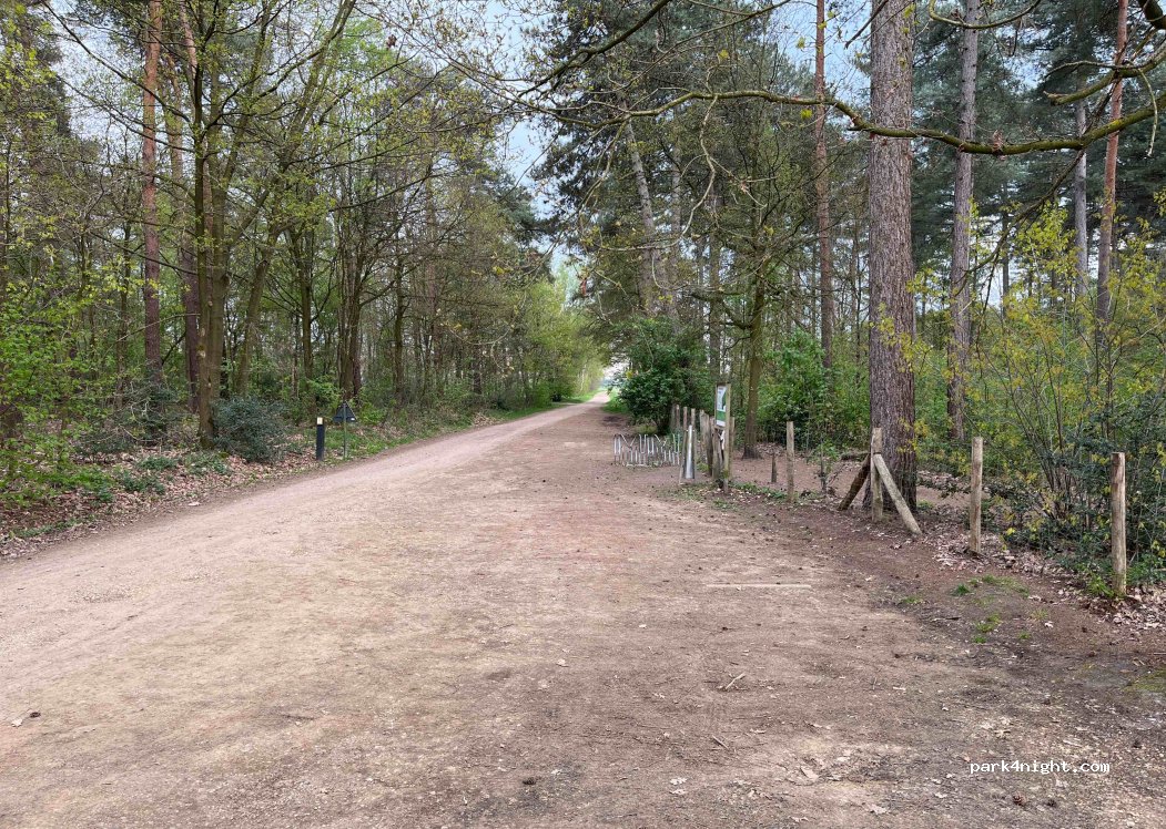 (3990) Peer - 6 Diestersedijk — foto