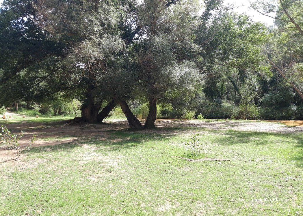 (16373) Cardenete - Unnamed Road — foto 4