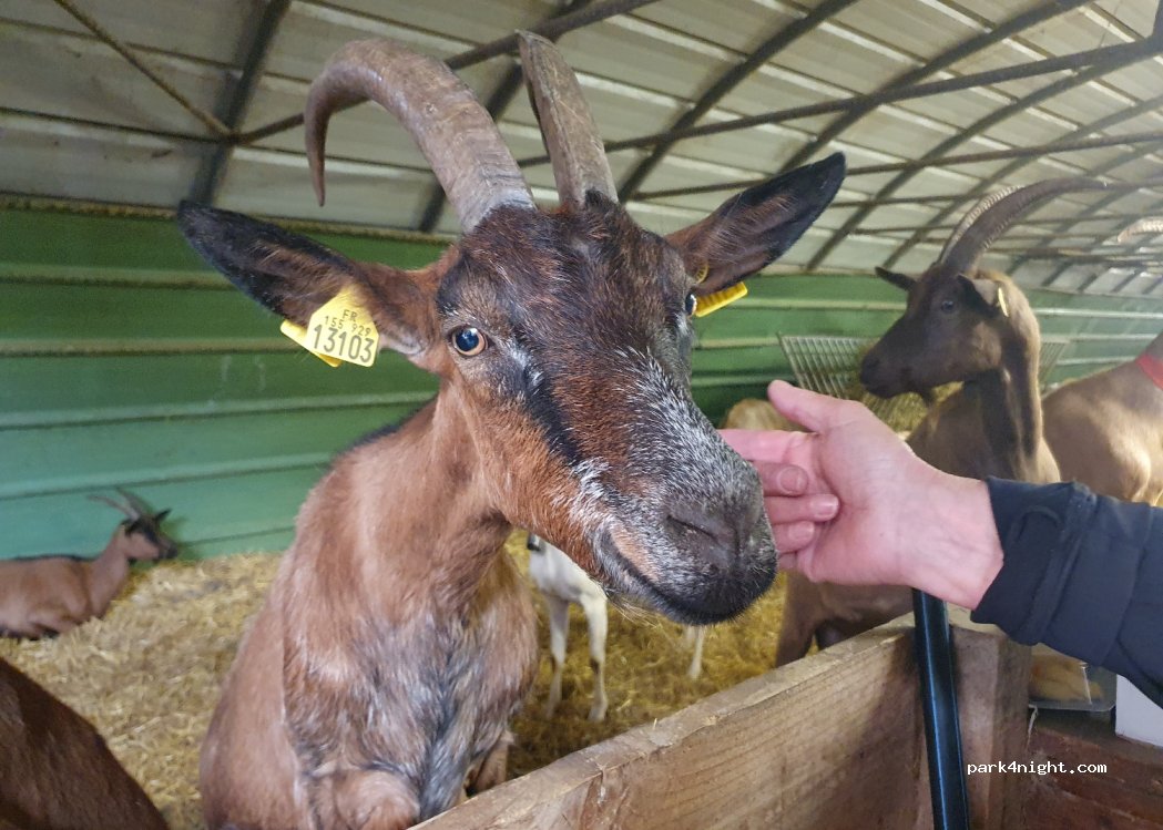 Ferme du Montagut — foto 4