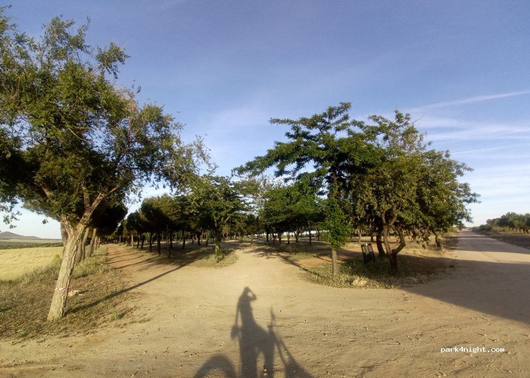 (45110) Ajofrín - Cam. de las Merinas — foto