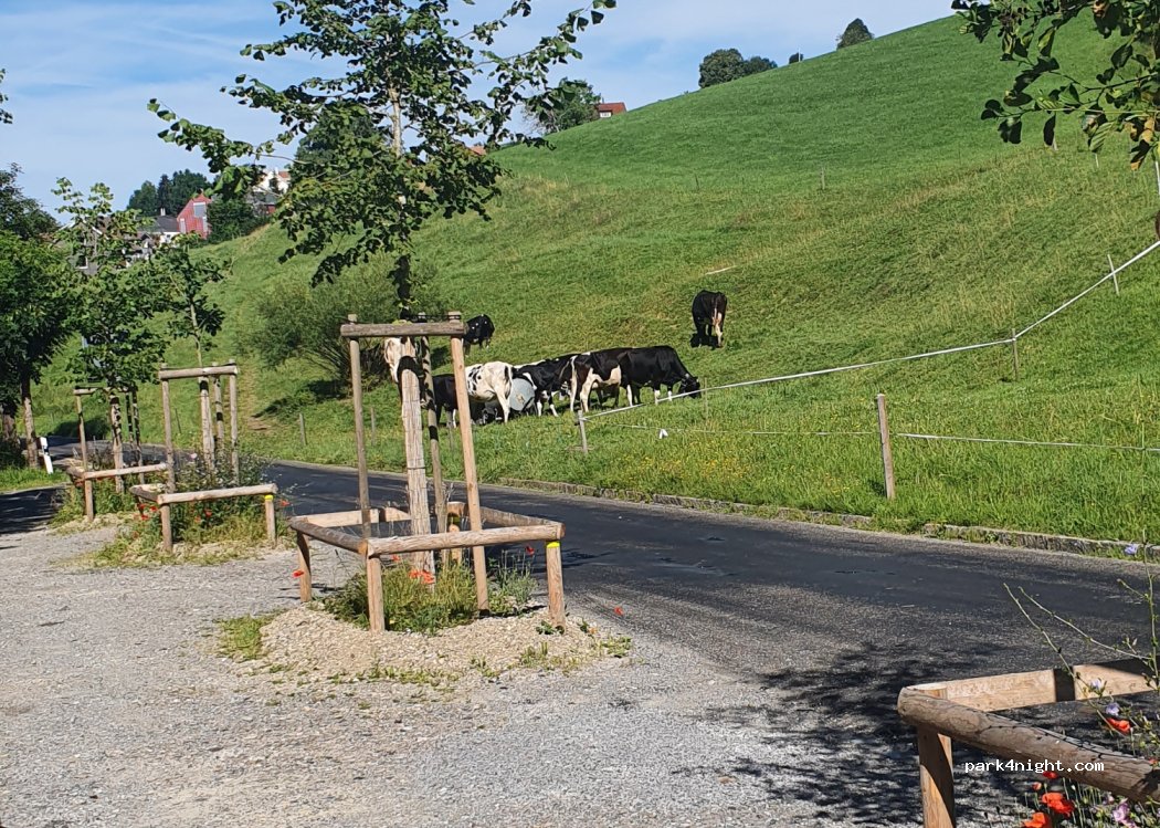 (9011) Sankt Gallen - 220-224 Sankt Georgen-Strasse — foto 2