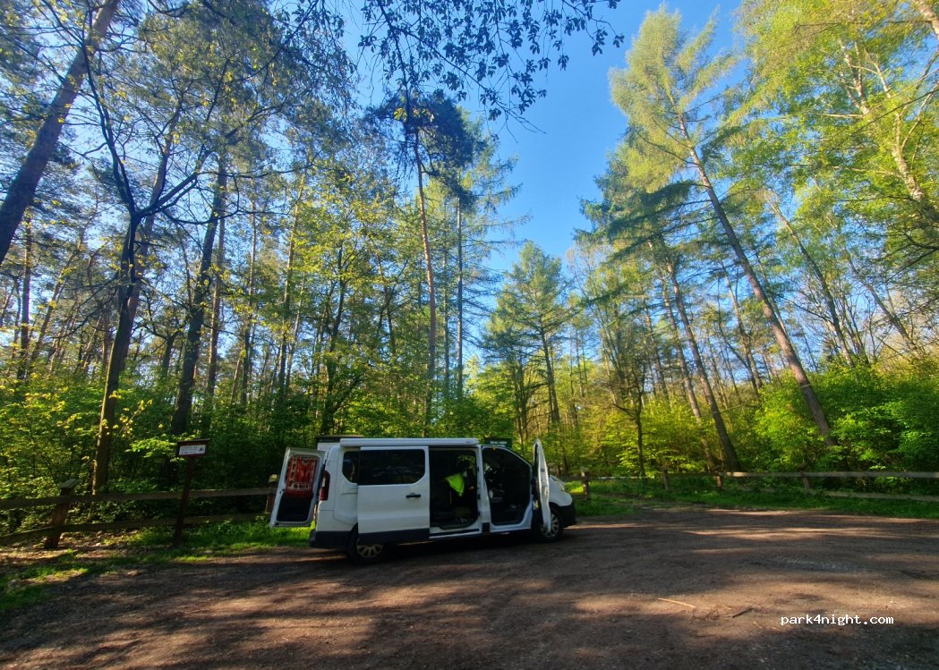 (39-207) Brzeźnica - 37 Droga Wojewódzka 985 — foto