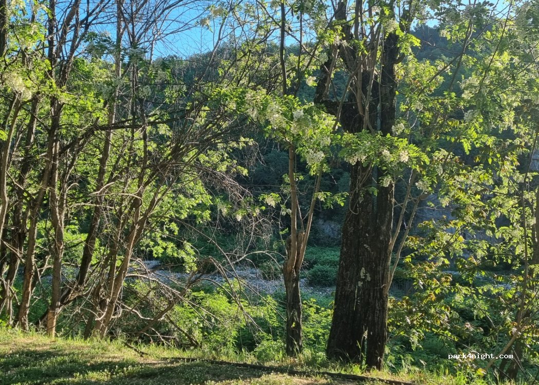 Camping Les Actinidias — foto 2