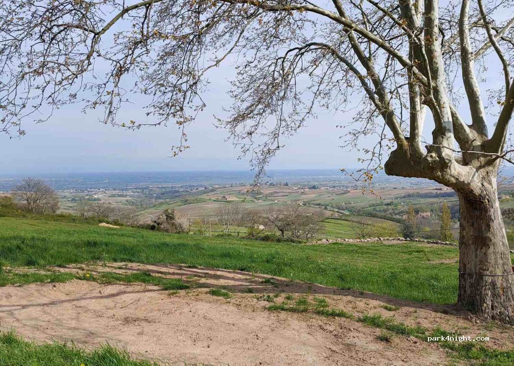Clos sauvage — foto